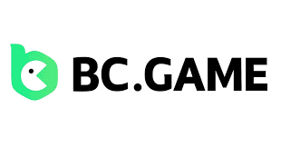 BC Game Payment Methods 0